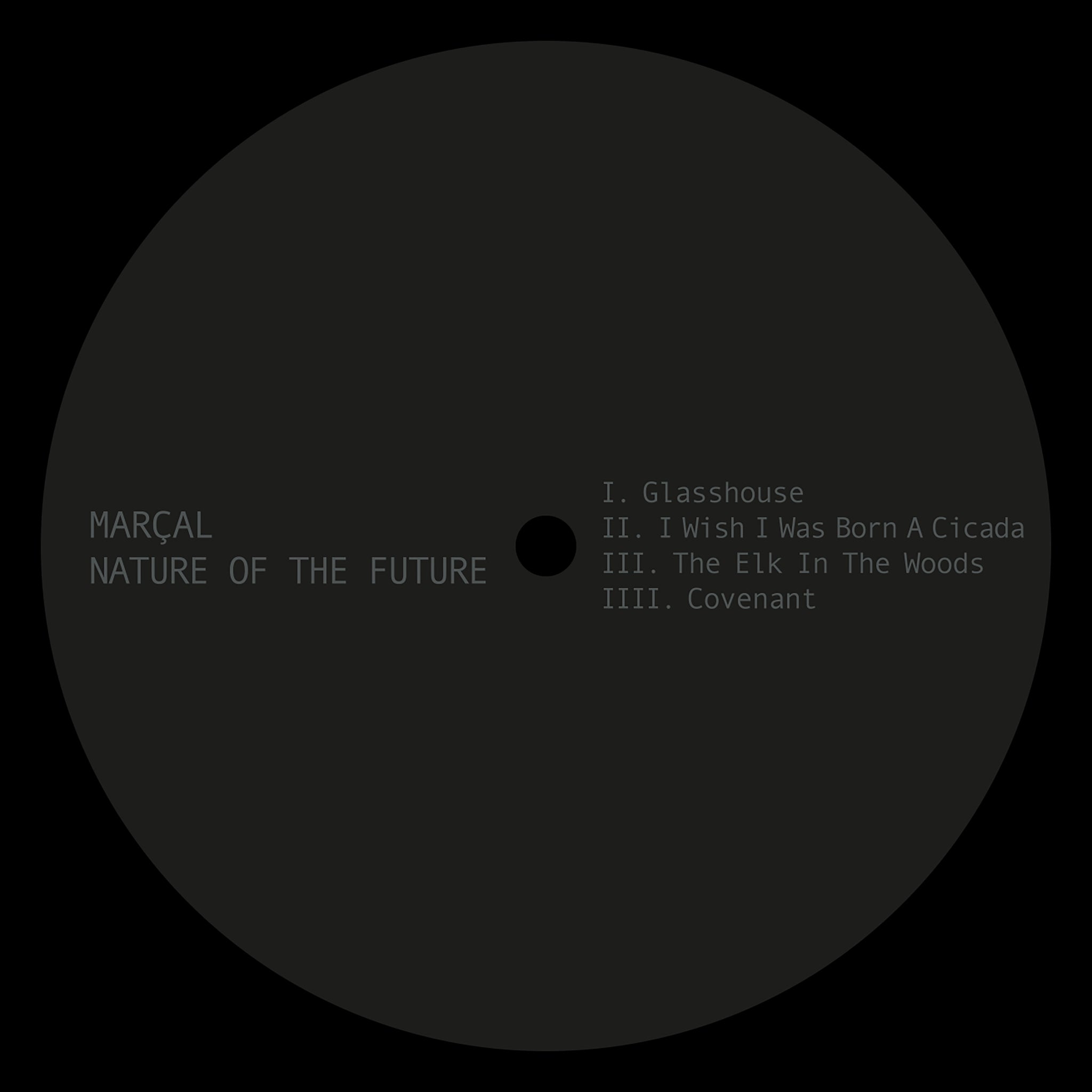 Marcal - NATURE OF THE FUTURE