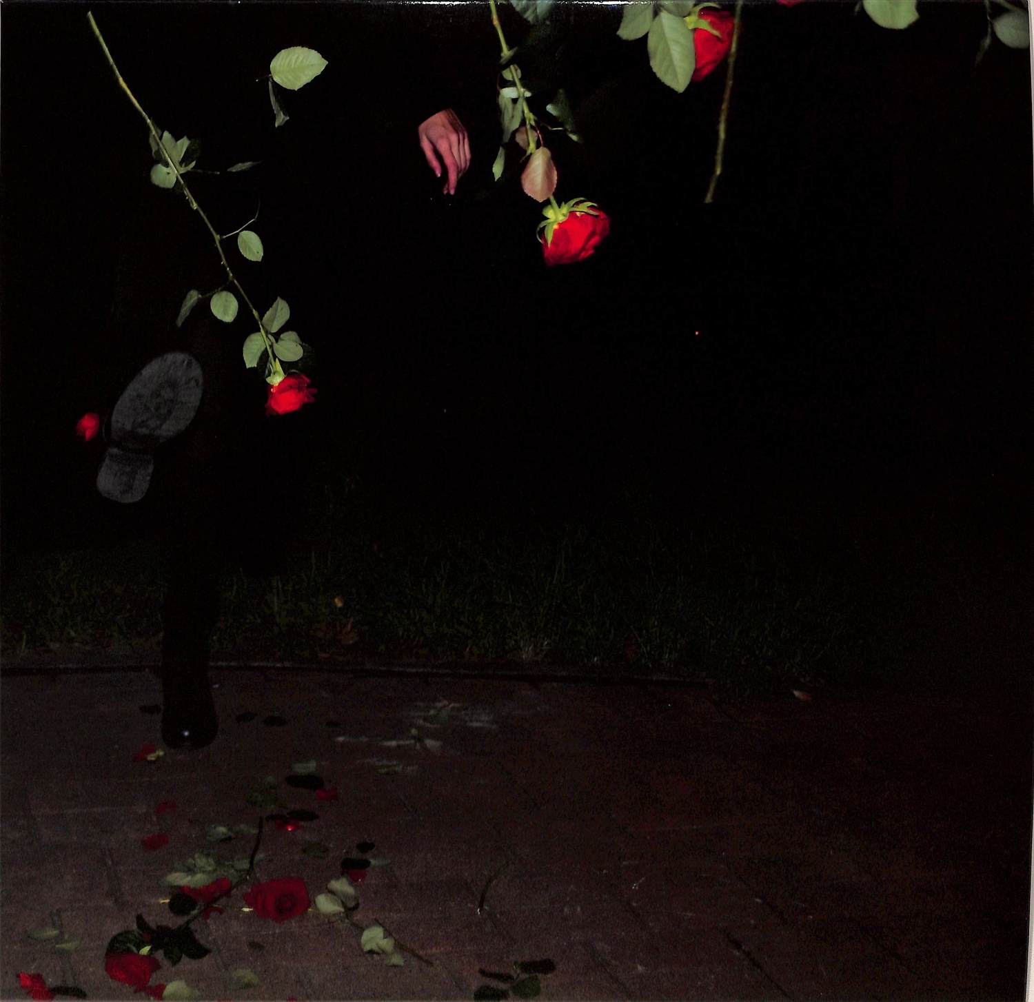 Nastia Reigel - DISARM TO SURRENDER