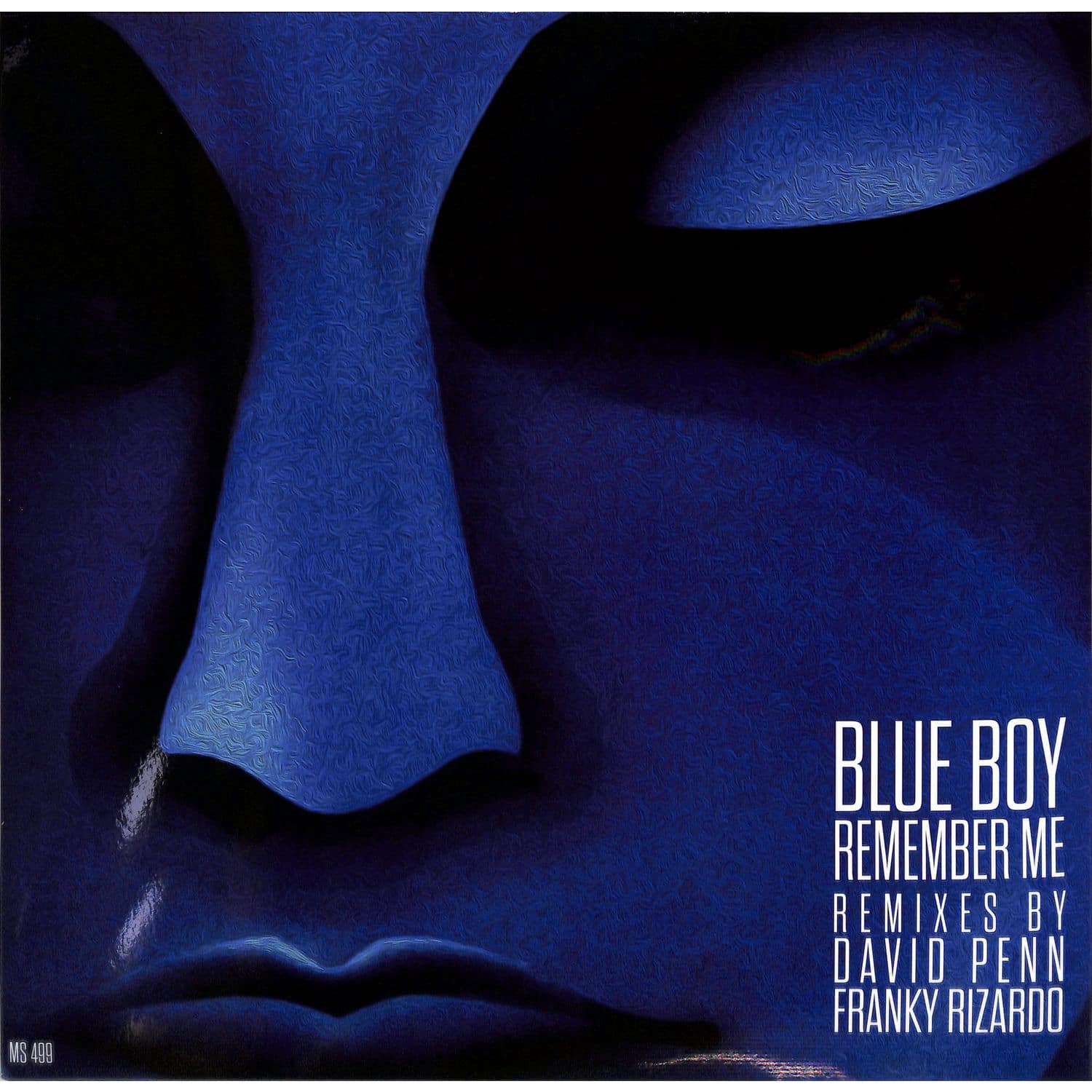 Blue Boy - REMEMBER ME