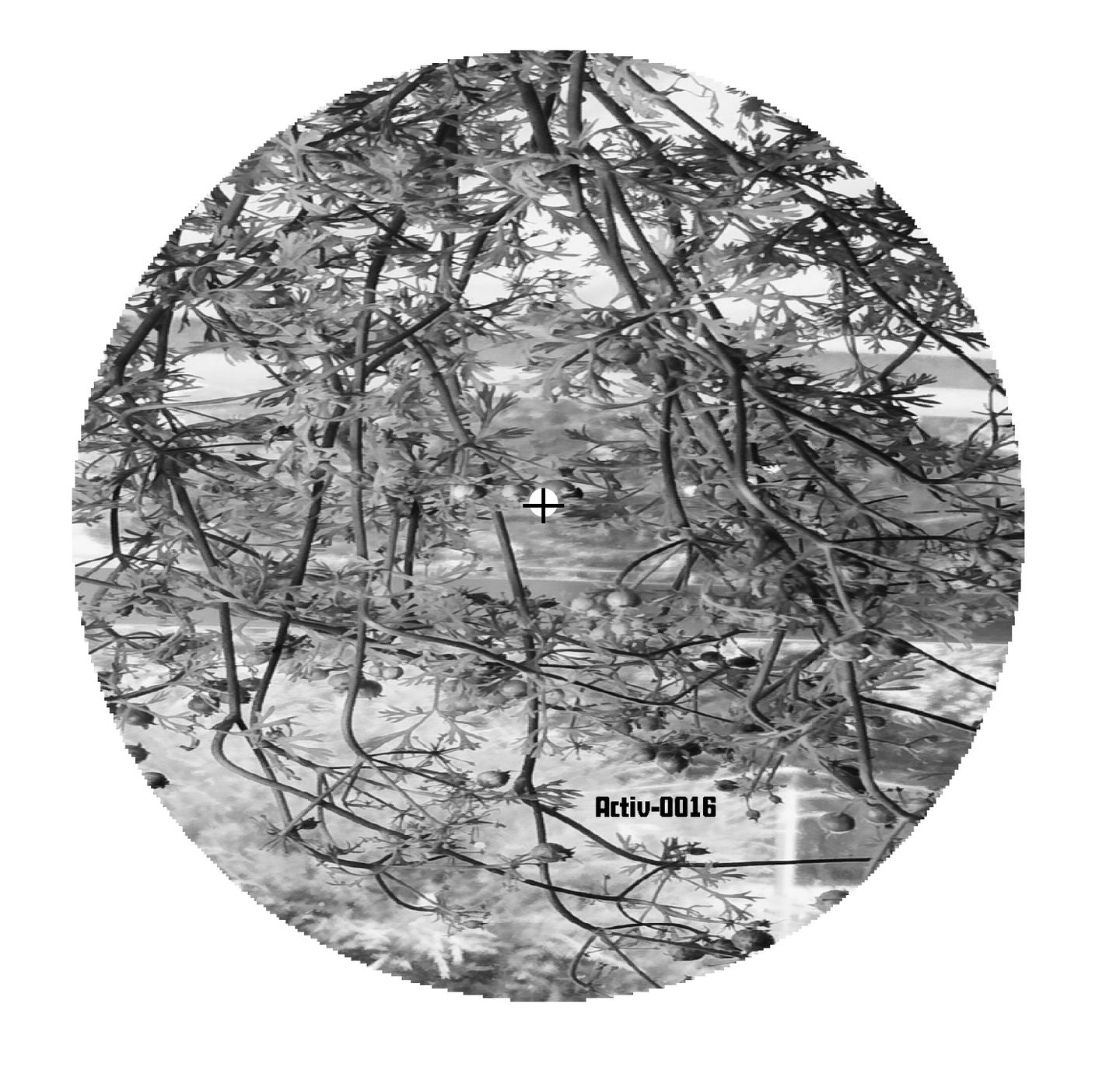 Activ Analog - LUNAR GARDEN