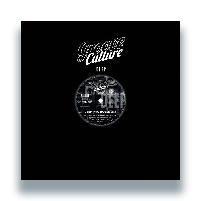 Ricky Montanari & Discoplex - DEEP INTO HOUSE VOL.3